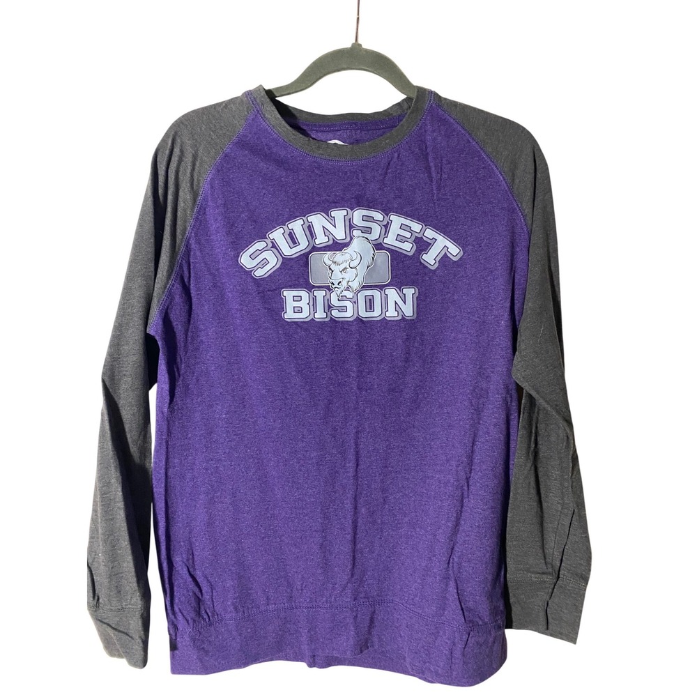Ohiopyle Sunset Bison Graphic Raglan Long Sleeve‎ Shirt Purple Gray Mens Medium